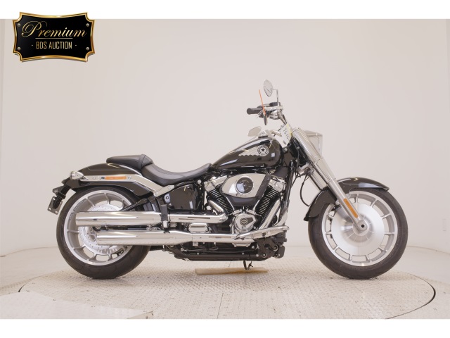 Harley-Davidson HARLEY FLFB1920