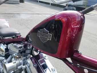 Harley-Davidson KIT BIKE ... 2023 года выпуска