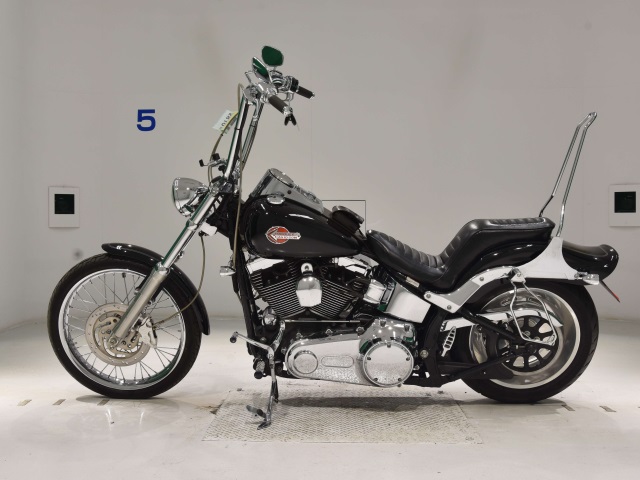 Harley-Davidson SOFTAIL CUSTOM FXSTC1580  2006г. 30,318K