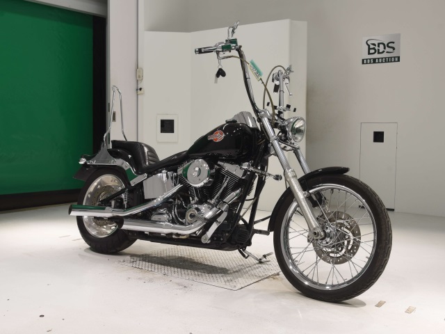 Harley-Davidson SOFTAIL CUSTOM FXSTC1580  2006г. 30,318K
