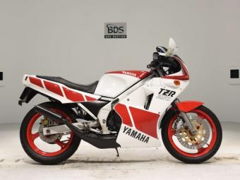 Yamaha TZR 250 1KT  года выпуска