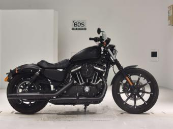 Harley-Davidson SPORTSTER XL883N  2021 года выпуска