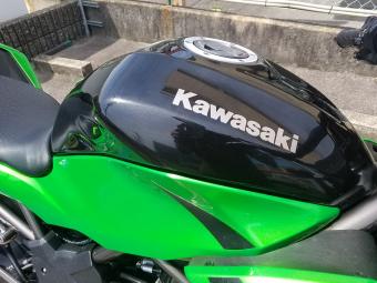 Kawasaki Z250 BR250E  года выпуска