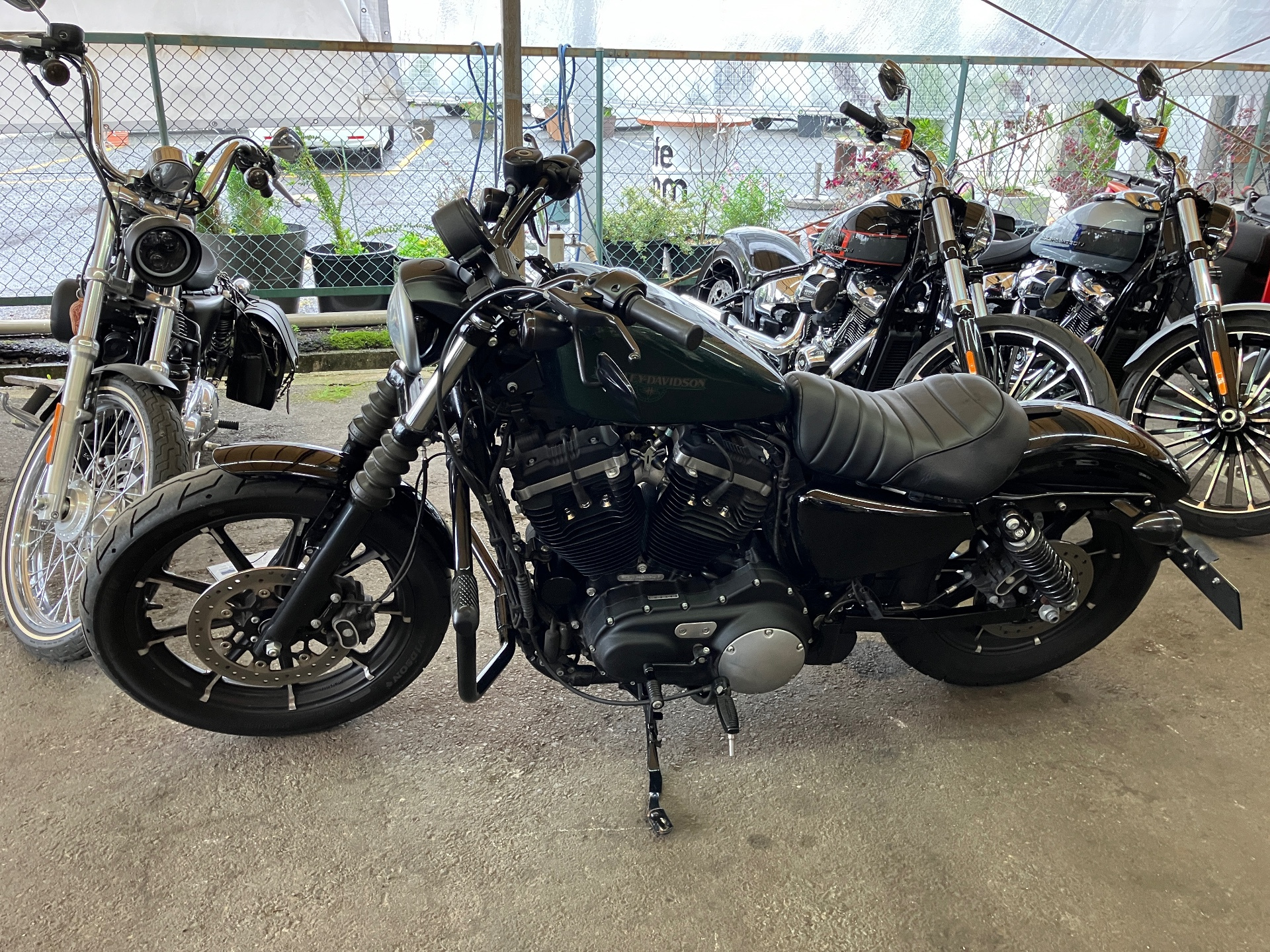 Harley-Davidson SPORTSTER XL883N XL2 2018г. 11071