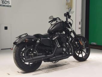 Harley-Davidson SPORTSTER XL883N  2019 года выпуска