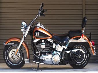Harley-Davidson  HARLEY FLSTC 105TH BW5 2008 года выпуска