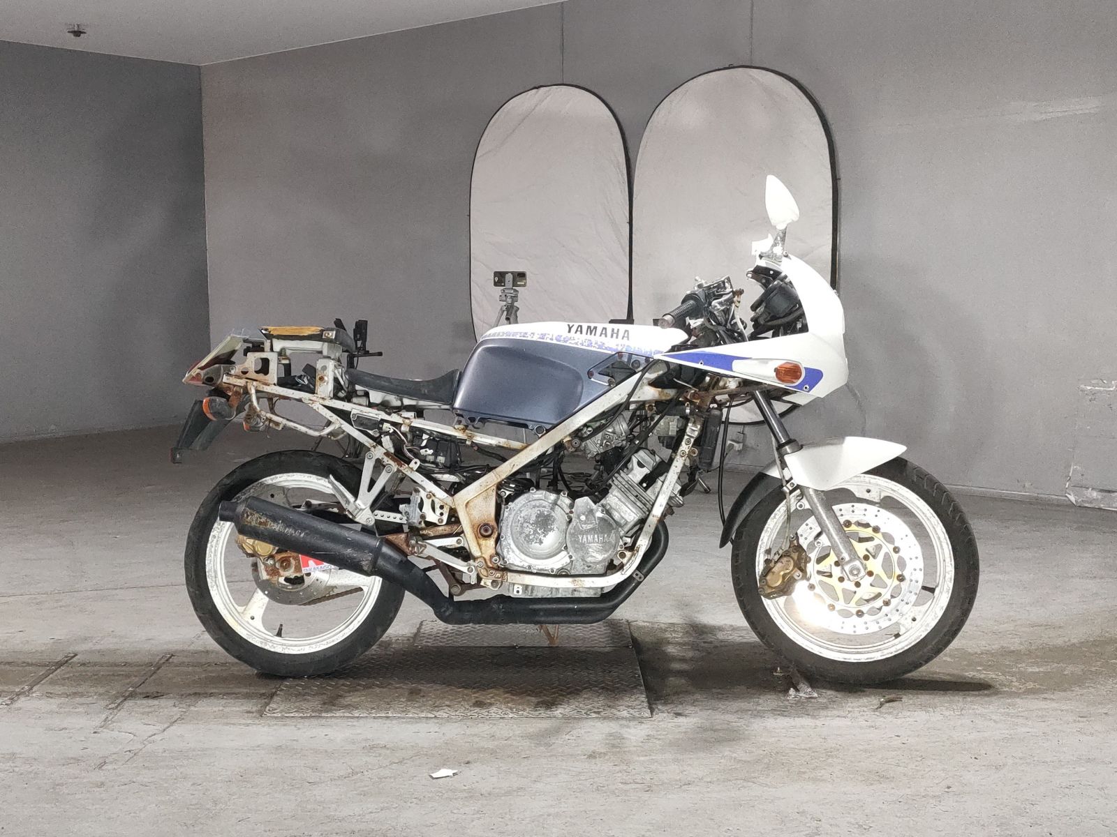 Yamaha FZR250