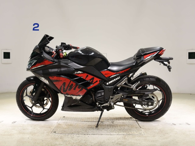Kawasaki NINJA250