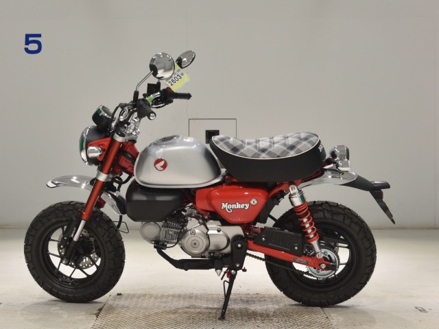 OTHER MONKEY 125-2