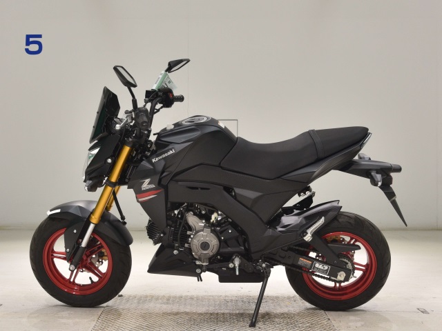 OTHER Z125PRO