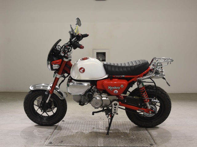 OTHER MONKEY 125-2