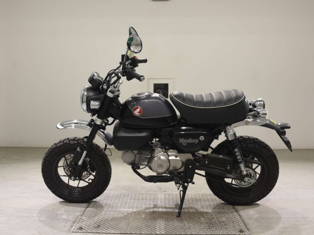 OTHER MONKEY 125-2