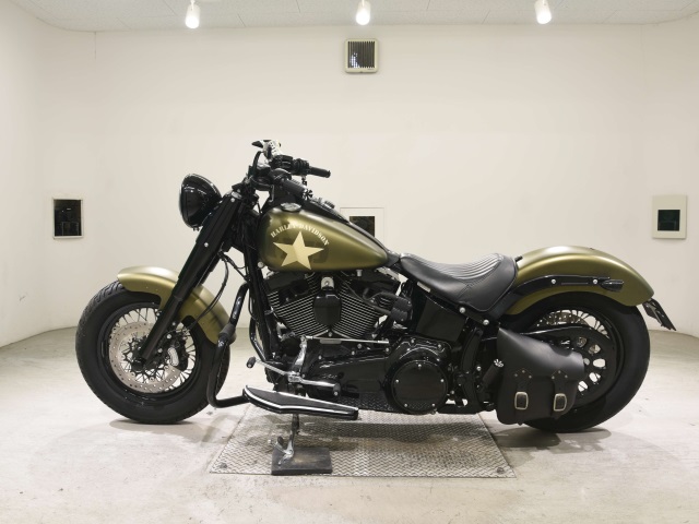 OTHER HARLEY FLSS1800