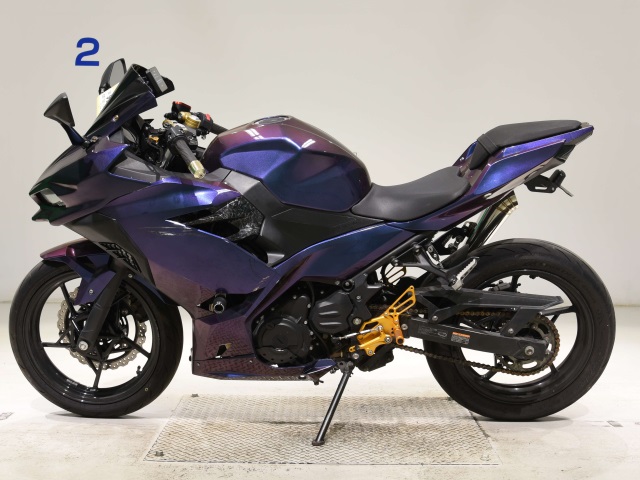 OTHER NINJA250-2