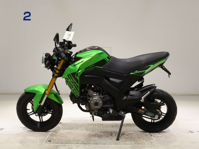 OTHER Z125PRO