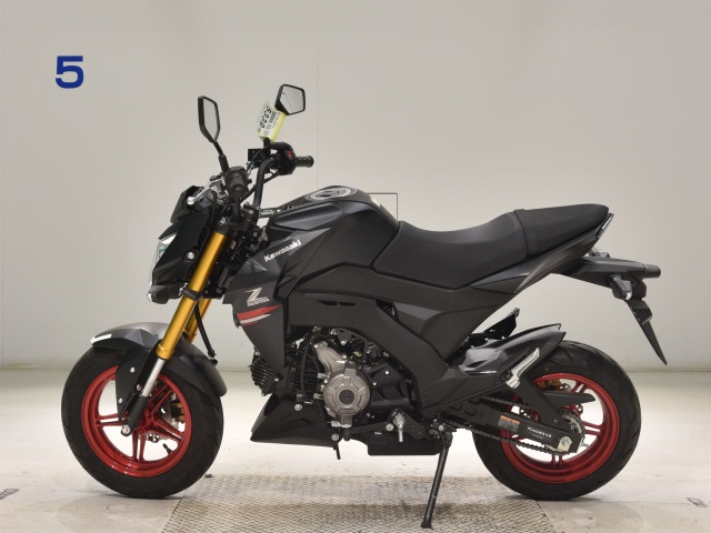 OTHER Z125PRO