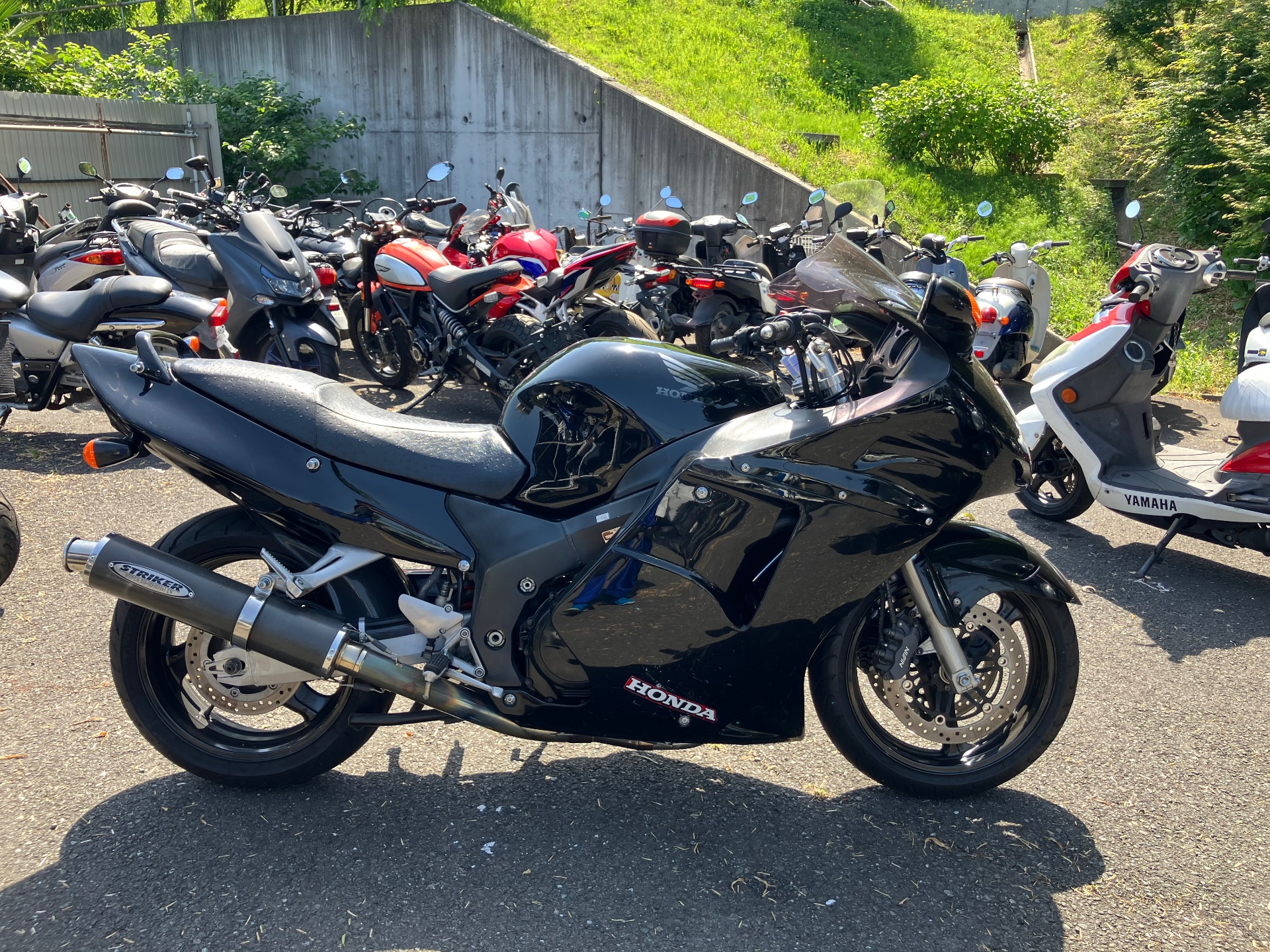 Honda CBR1100XX