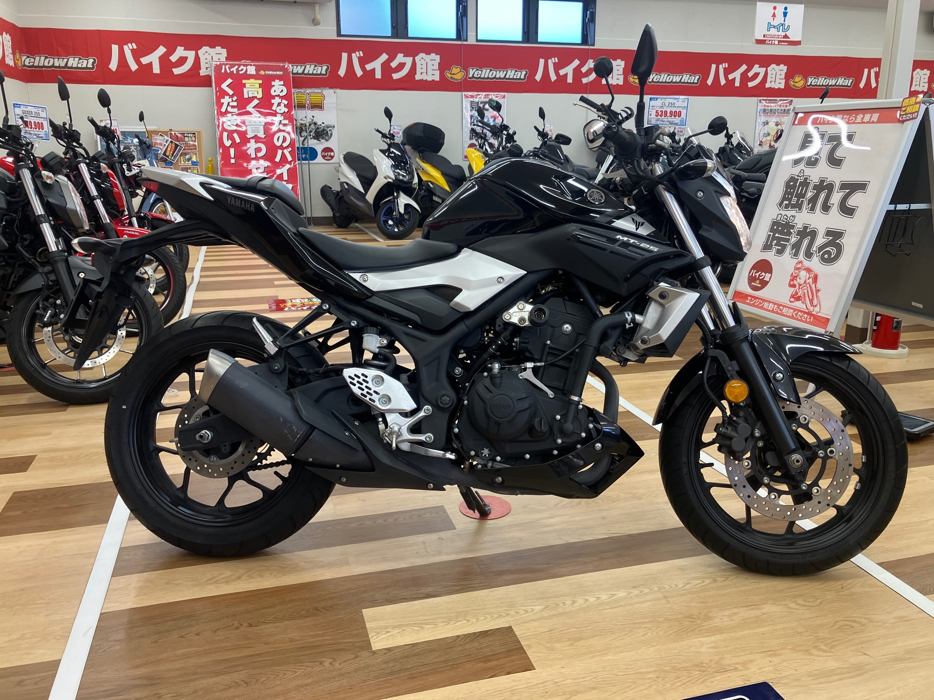 OTHER MT-25