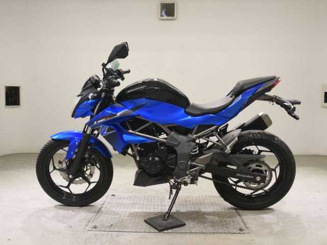 OTHER Z250SL