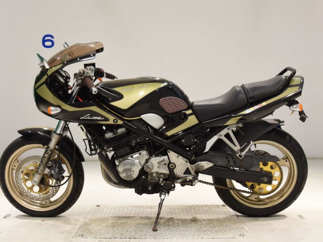 Suzuki BANDIT250-1