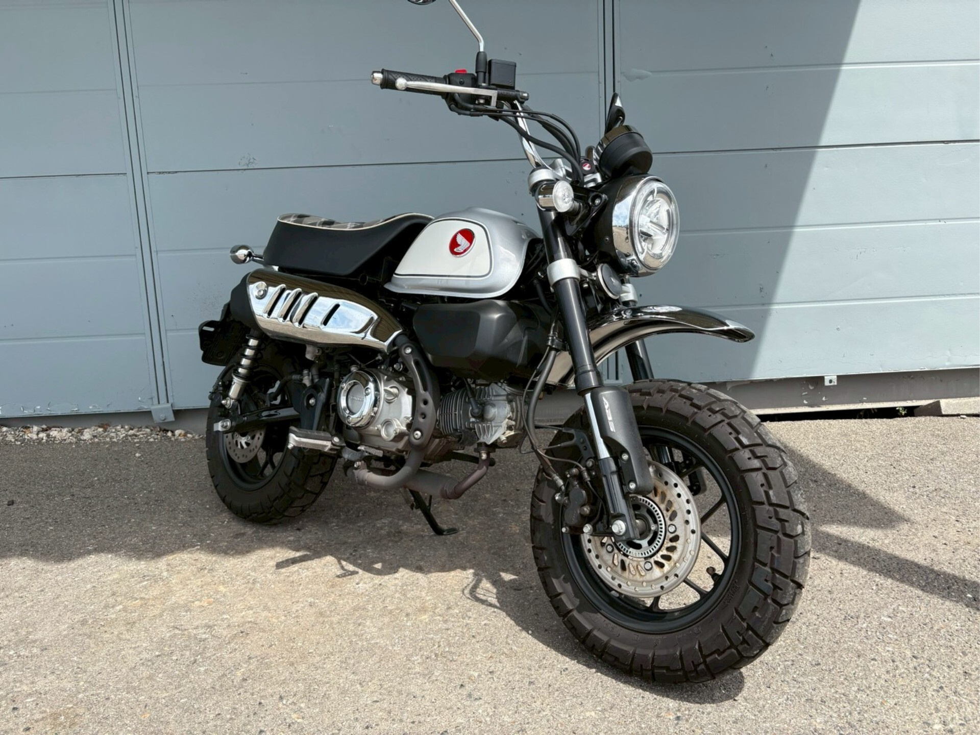 OTHER MONKEY 125