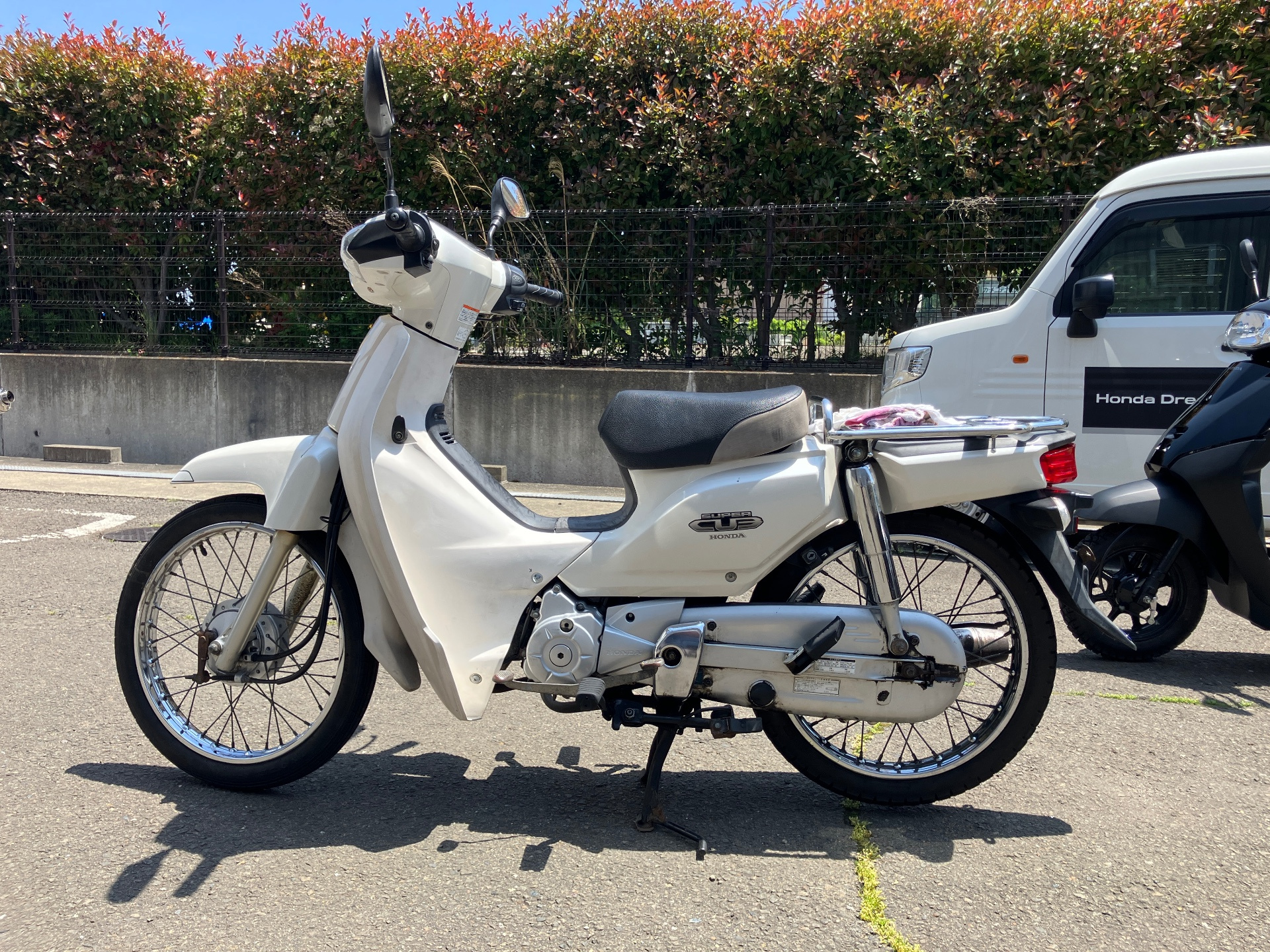 OTHER JIKUSA-250