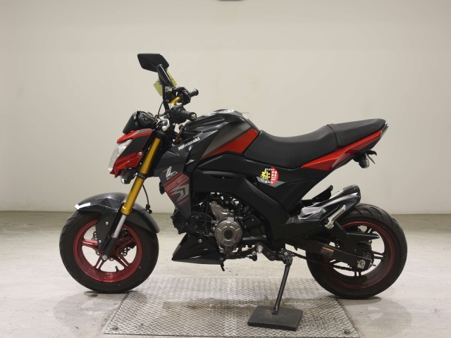 OTHER Z125PRO