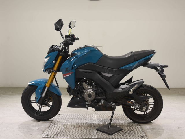 OTHER Z125PRO
