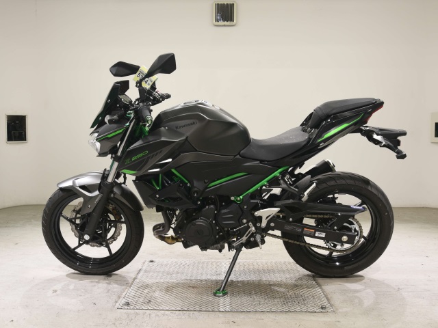 OTHER Z250-2