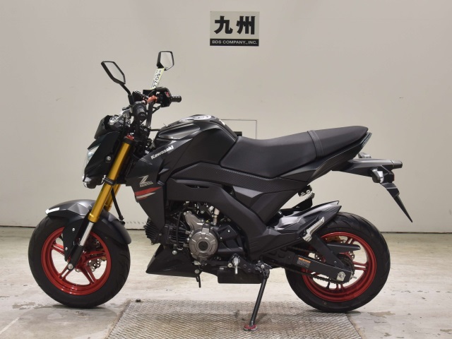 OTHER Z125PRO