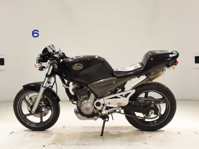 Suzuki GOOSE250
