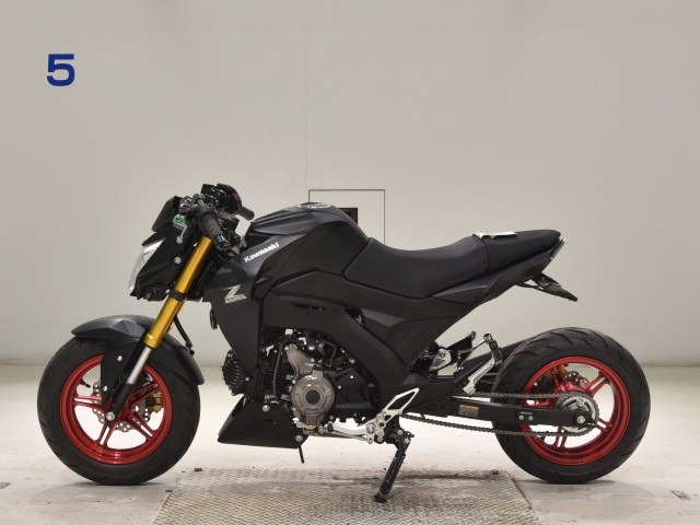 OTHER Z125PRO