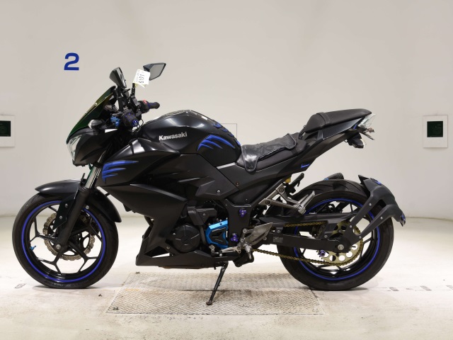 Kawasaki Z250