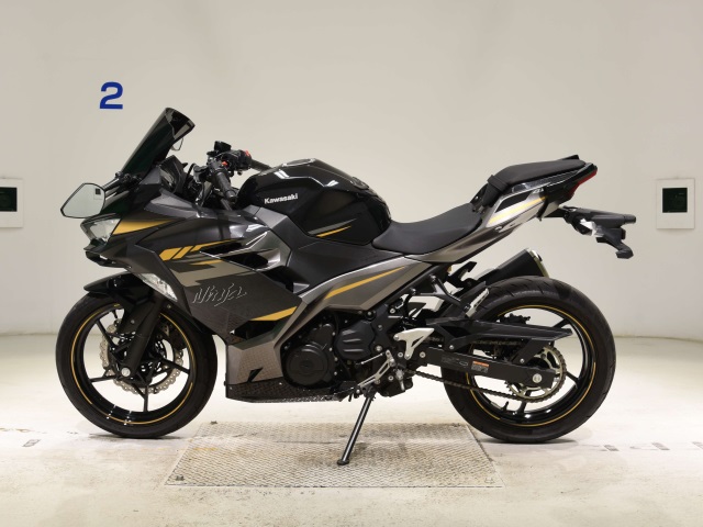 OTHER NINJA400-2