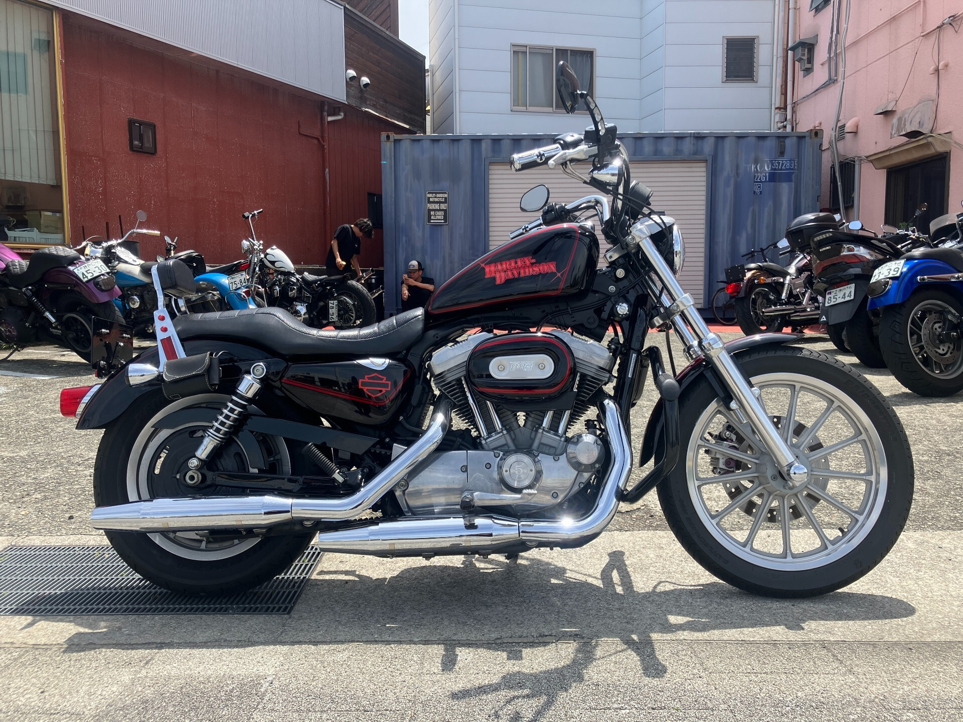 Harley-Davidson HARLEY XL883L