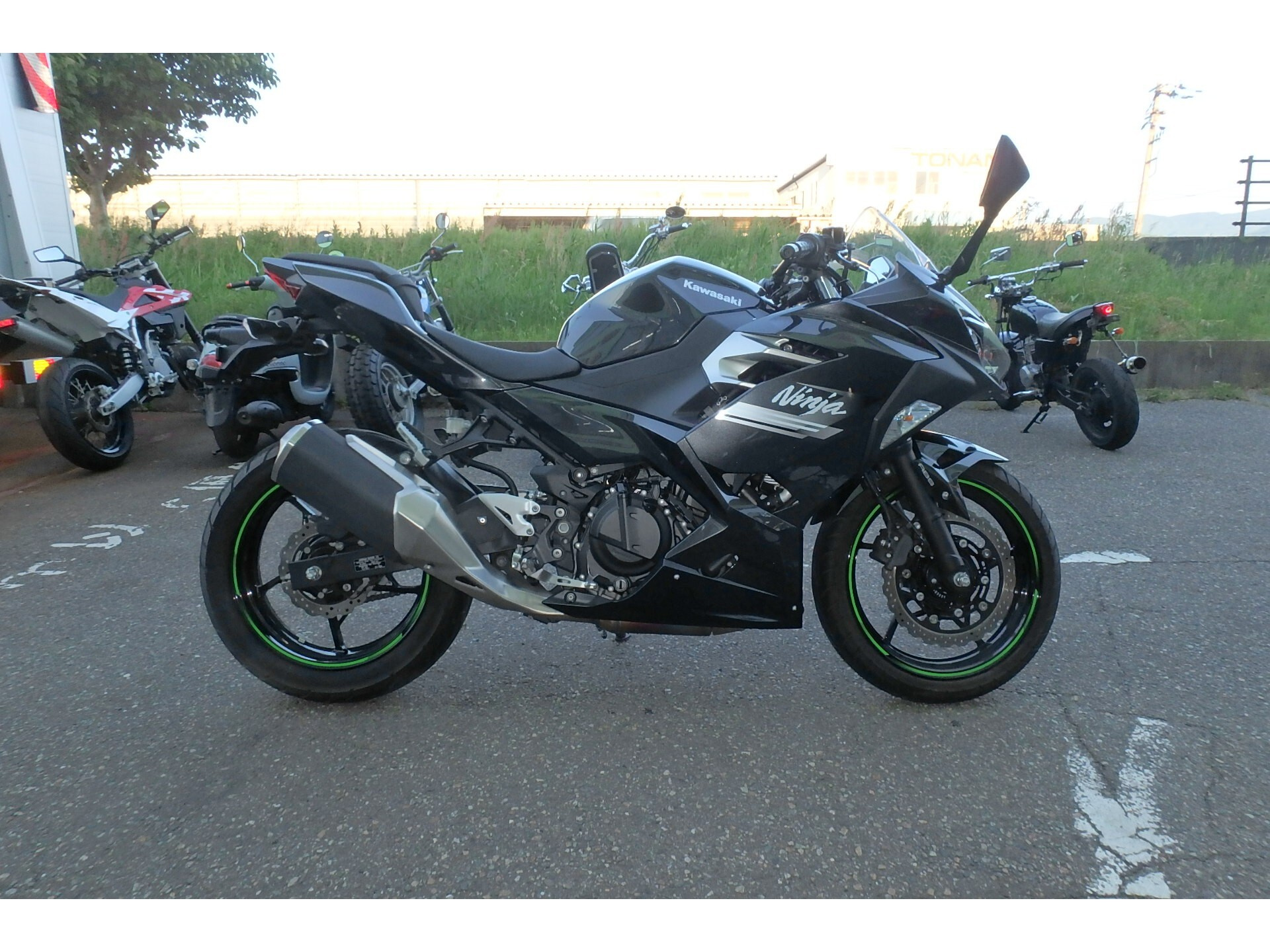 OTHER Ninja 250