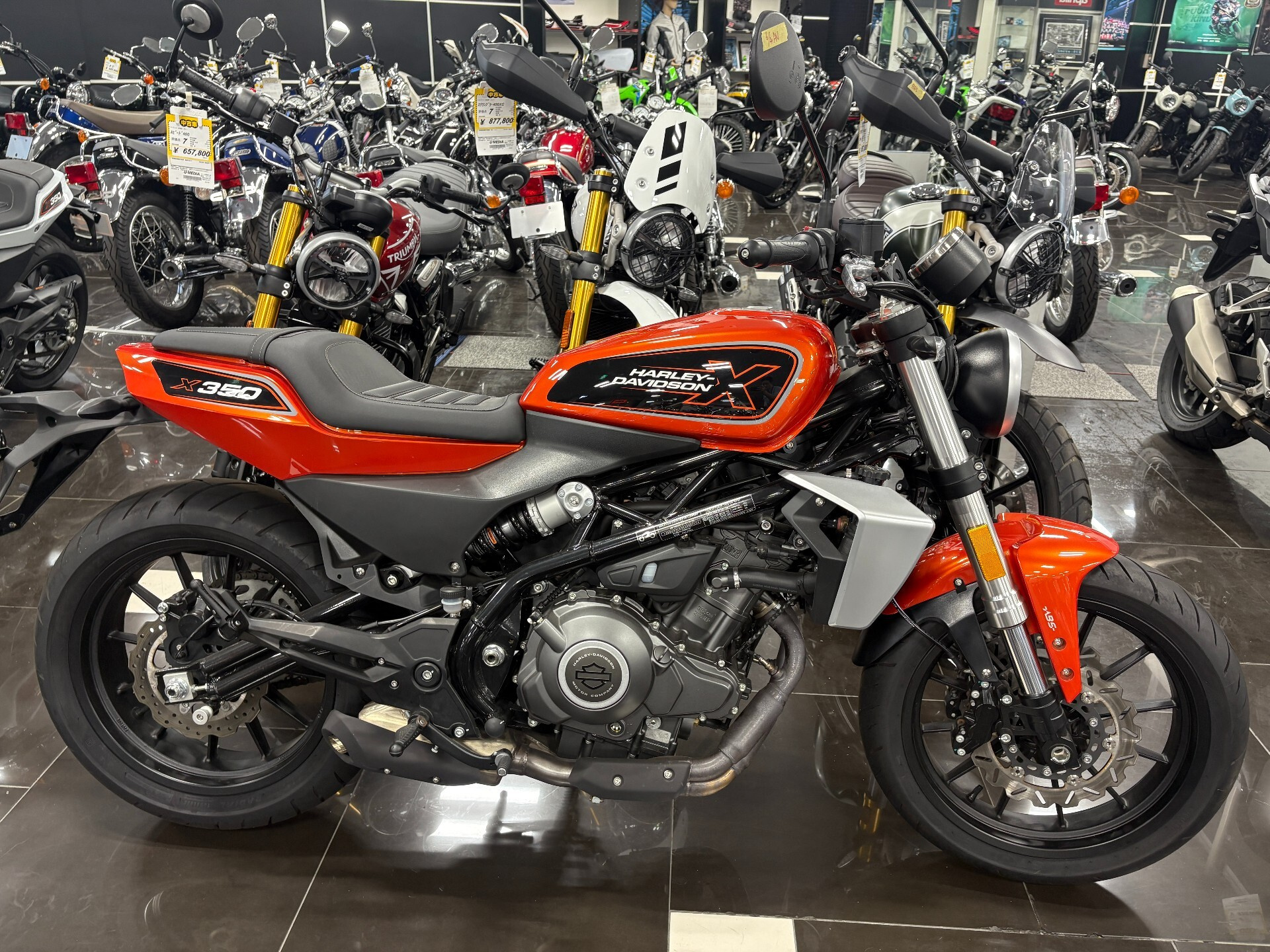 OTHER HARLEY X350
