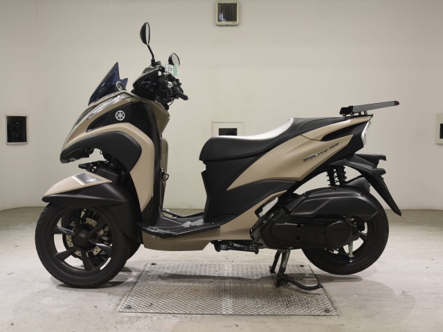 OTHER TORI CITY 155-2
