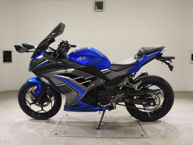 Kawasaki NINJA250ABS