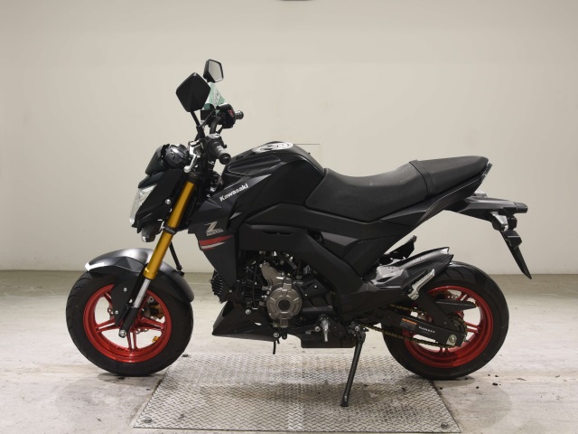 OTHER Z125PRO