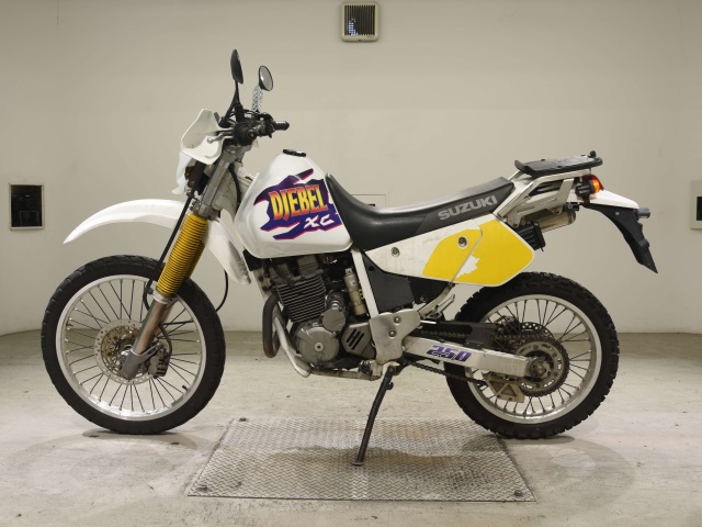 Suzuki DR250R