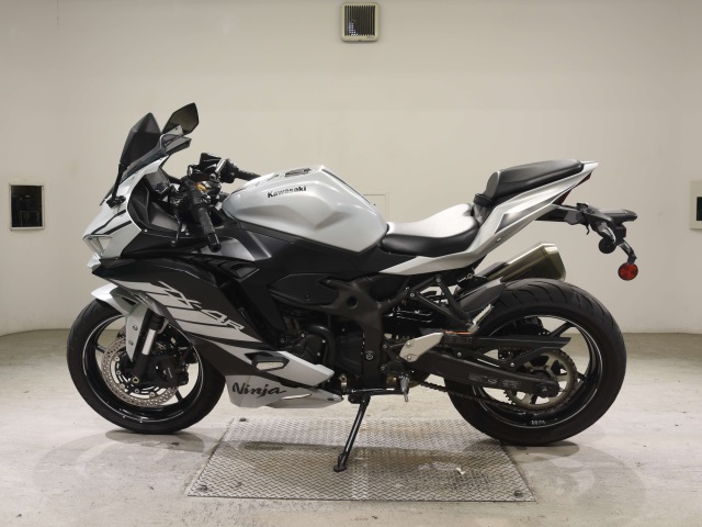 OTHER ZX-4R SE
