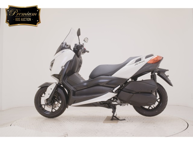OTHER X-MAX250-2