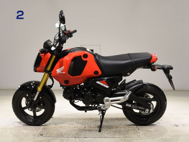 OTHER GU ROM -2