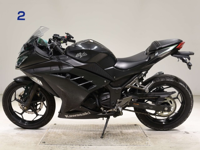 Kawasaki NINJA250