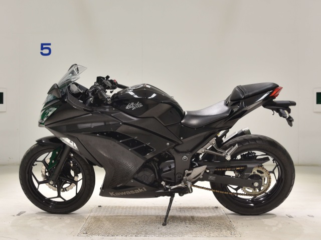 Kawasaki NINJA250