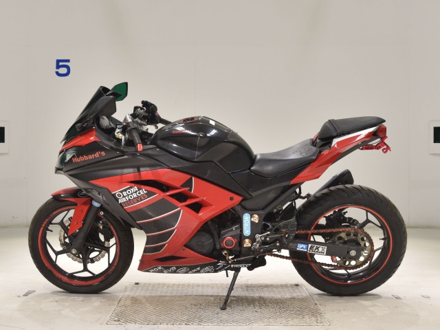Kawasaki NINJA250
