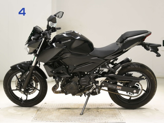 OTHER Z250-2