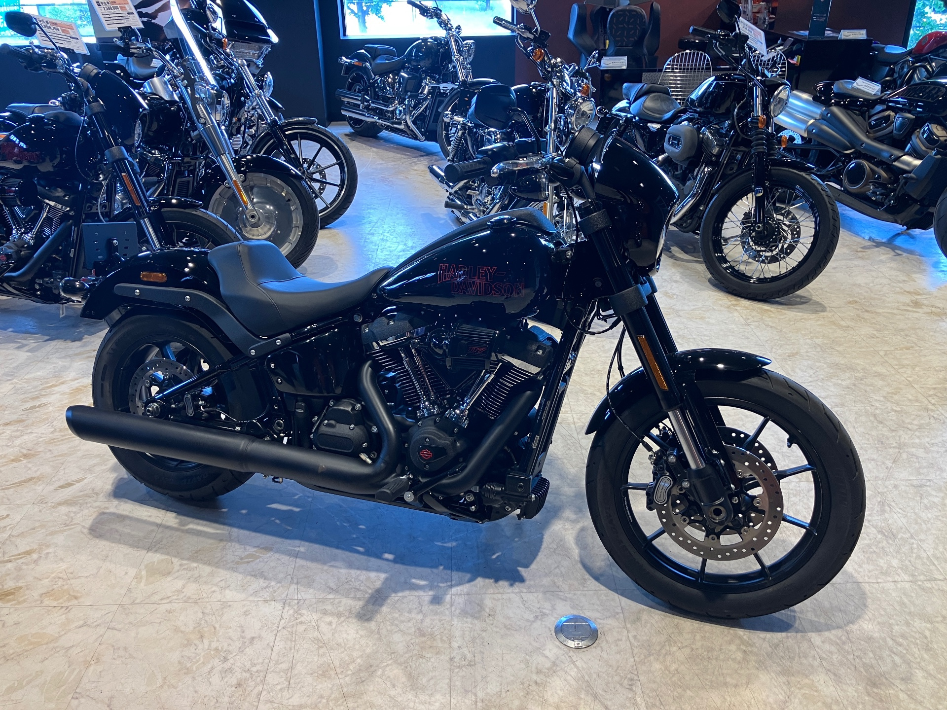 OTHER HARLEY FXLRS