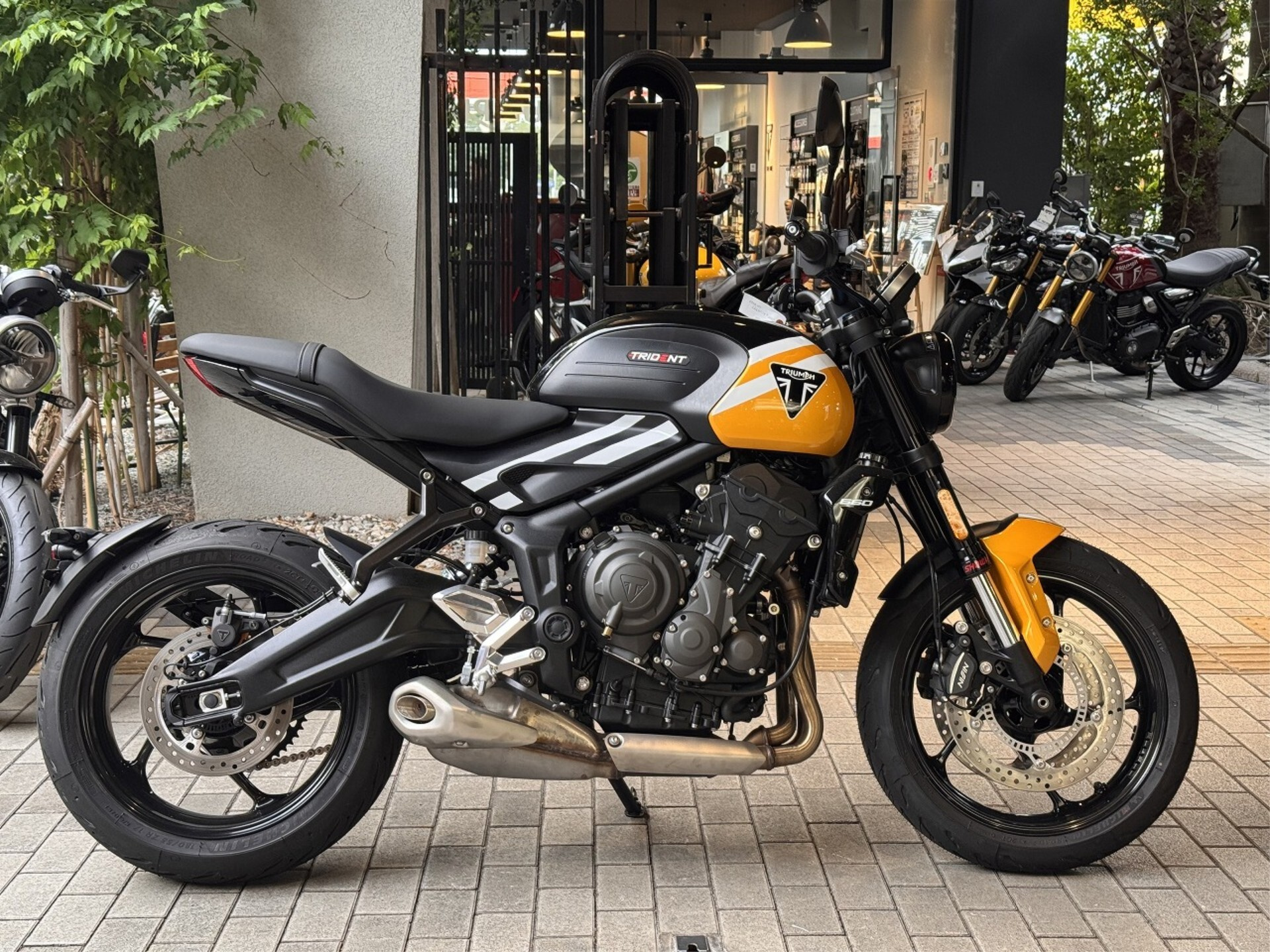 OTHER TRIUMPH TRIDENT 660